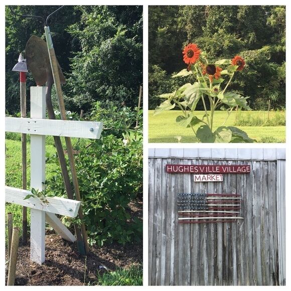 Serenity - Picture 1 of 1